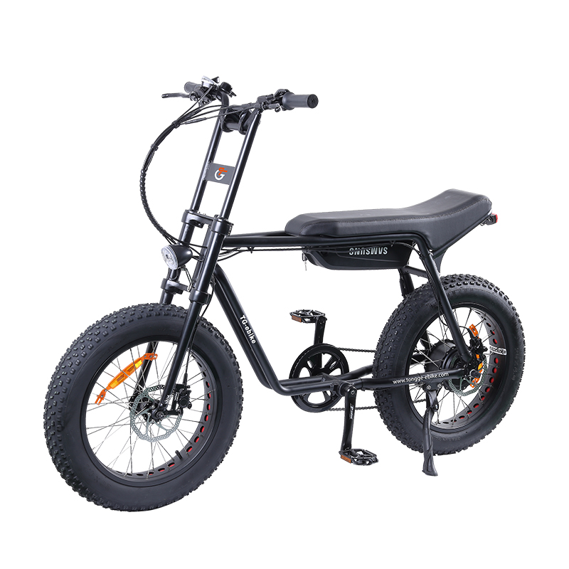 TG-S009  electric bike 20 inch fat tire long seat electric bicycle custom bike manufacturer