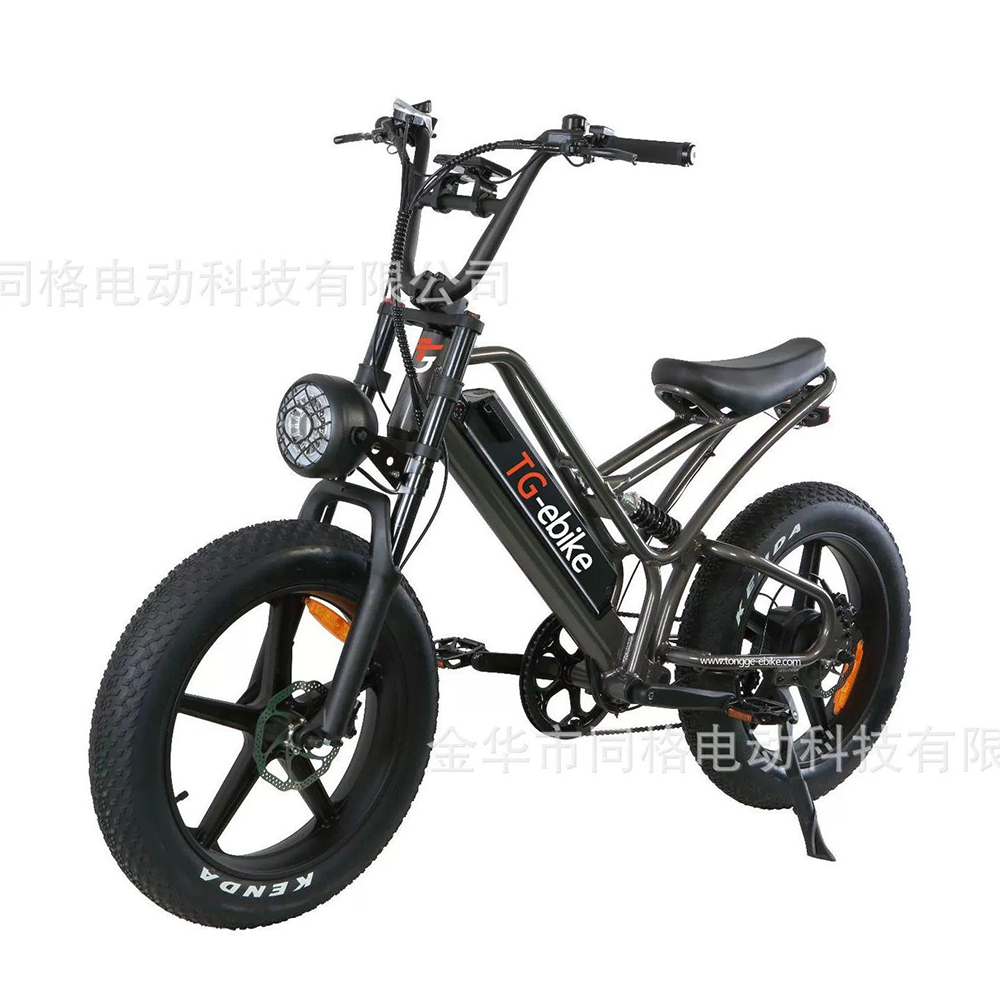 TG-S013 Fat Tire Halley Electric Bicycle 20 Inch