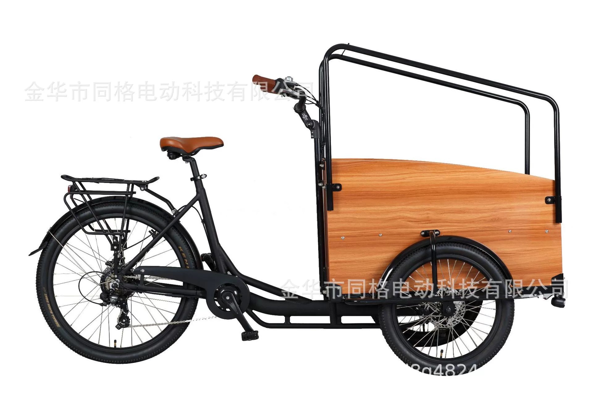 250w 350w Europe Electric cargo bike family bike electric tricycle electric trikes three wheel electric cargo tricycle electric manufacturer