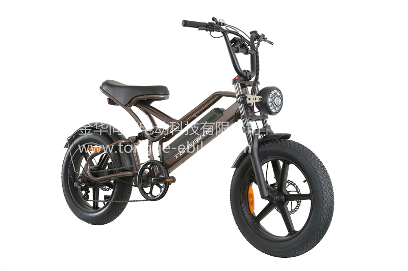 20" big power electric bike halley  fashion design bike electric bike manufacturing factory 